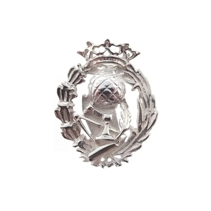 Insignia profesional Magisterio escudo plata Ley 925m 20 mm. pin cier