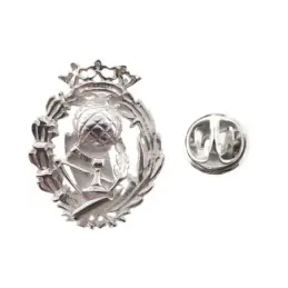 Insignia profesional Magisterio escudo plata Ley 925m 20 mm. pin cier