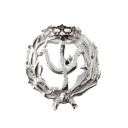 Insignia profesional Psicología escudo plata Ley 925m 20 mm. pin cier