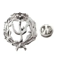 Insignia profesional Psicología escudo plata Ley 925m 20 mm. pin cier