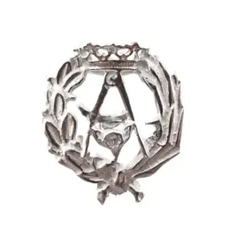 Insignia profesional Arquitectura escudo plata Ley 925m 17 mm. pin ci