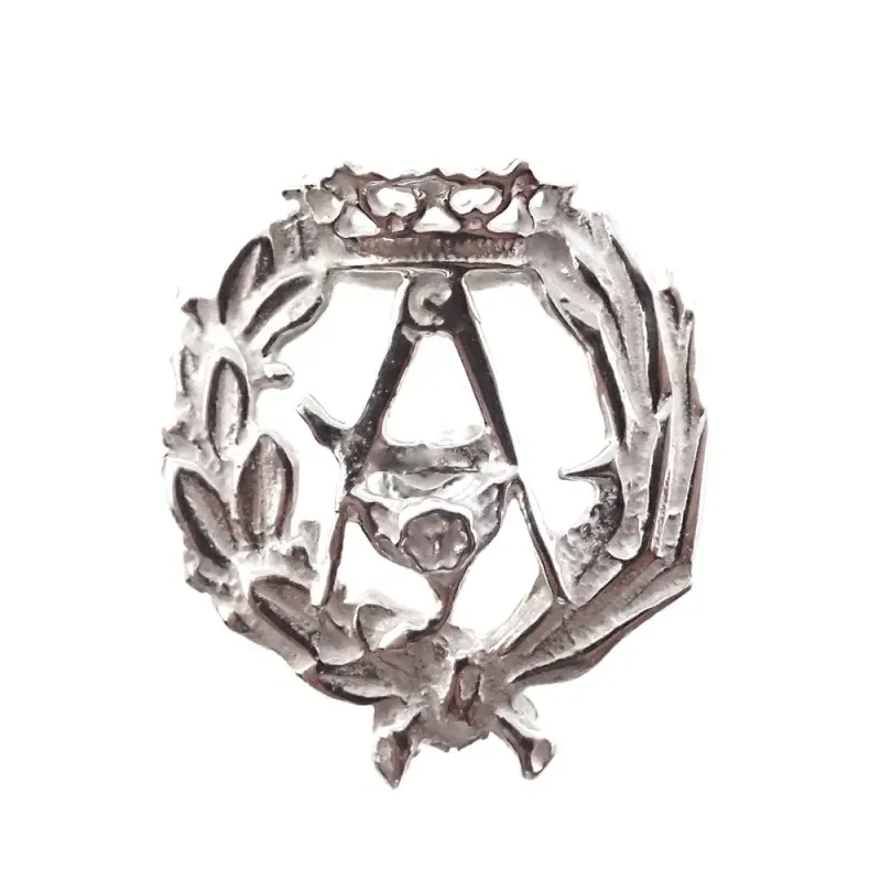 Insignia profesional Arquitectura escudo plata Ley 925m 17 mm. pin ci