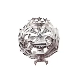 Insignia profesional Ciencia Químicas escudo plata Ley 925m 18 mm. pi