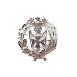 Insignia profesional Enfermería escudo plata Ley 925m 16 mm. pin cier