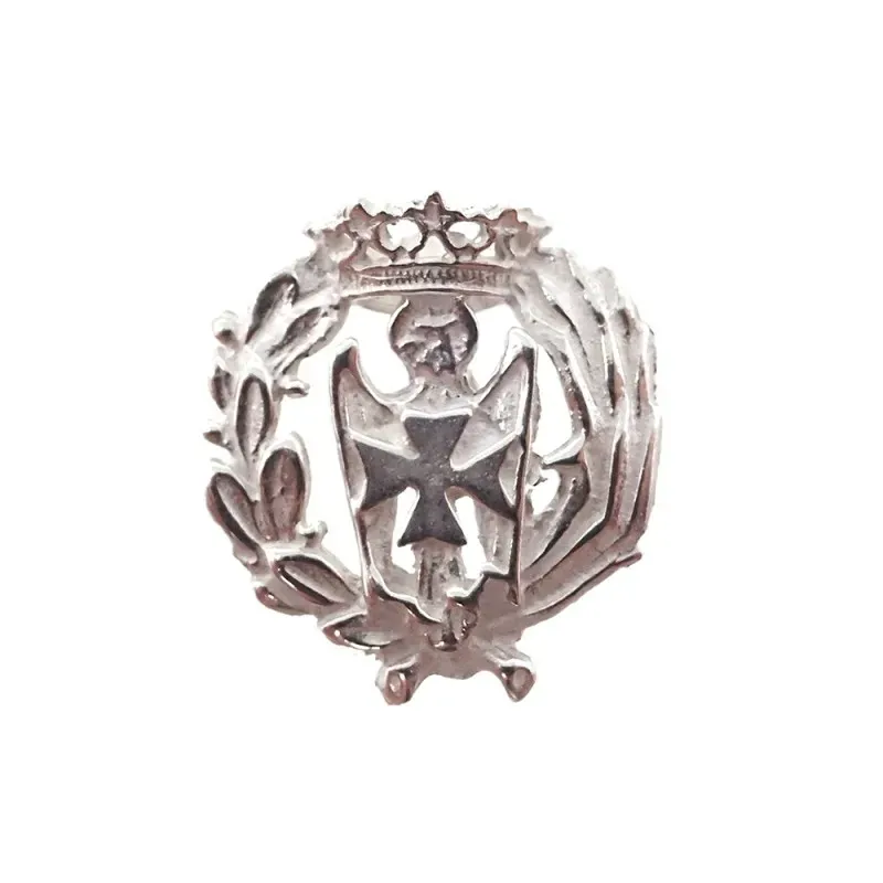 Insignia profesional Enfermería escudo plata Ley 925m 16 mm. pin cier
