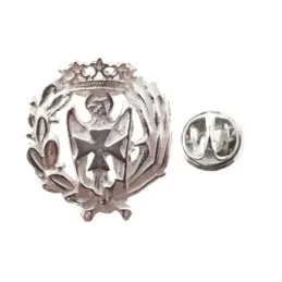 Insignia profesional Enfermería escudo plata Ley 925m 16 mm. pin cier