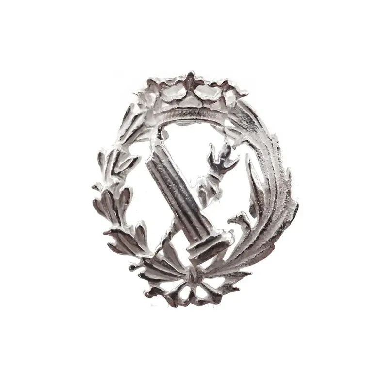 Insignia profesional Filosofía y Letras escudo plata Ley 925m 16 mm.