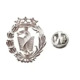 Insignia profesional Medicina escudo plata Ley 925m 19 mm. pin cierre