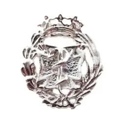 Insignia profesional Odontología escudo plata Ley 925m  mm. pin cierr