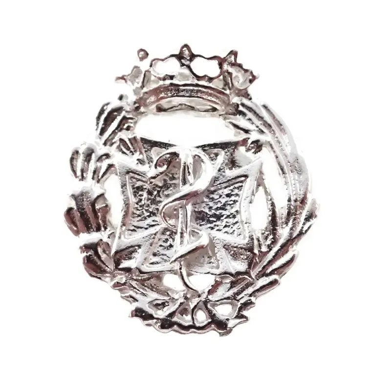 Insignia profesional Odontología escudo plata Ley 925m  mm. pin cierr