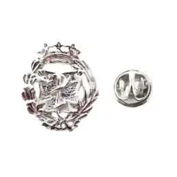 Insignia profesional Odontología escudo plata Ley 925m  mm. pin cierr