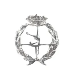 Insignia profesional Ciencias de la Actividad Física y del Deporte pl