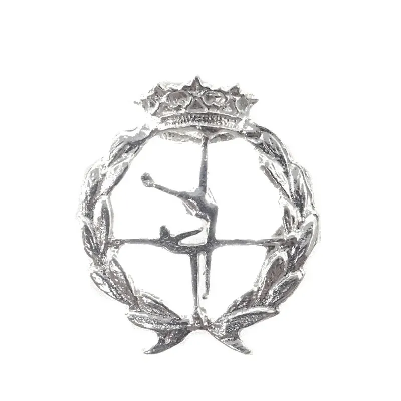 Insignia profesional Ciencias de la Actividad Física y del Deporte pl