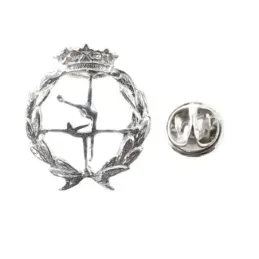 Insignia profesional Ciencias de la Actividad Física y del Deporte pl