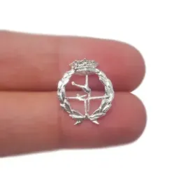Insignia profesional Ciencias de la Actividad Física y del Deporte pl