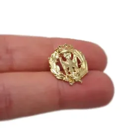 Insignia profesional Enfermería escudo oro 18k 16 mm. pin cierre tras
