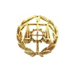 Insignia profesional Graduado Social escudo oro 18k 16 mm. pin cierre