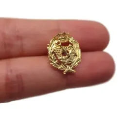 Insignia profesional Ingeniero de Caminos  17 mm. pin cierre trasero