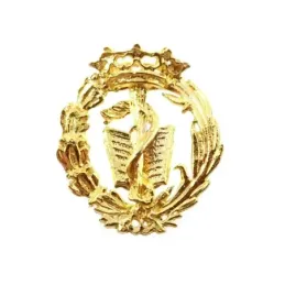 Insignia profesional Medicina escudo oro 18k 19 mm. pin cierre traser