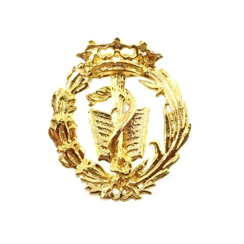 Insignia profesional Medicina escudo oro 18k 19 mm. pin cierre traser