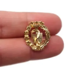 Insignia profesional Medicina escudo oro 18k 19 mm. pin cierre traser