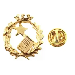 Insignia profesional Notario escudo oro 18k 17 mm. pin cierre trasero