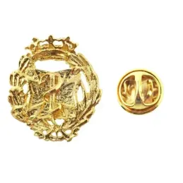 Insignia profesional Odontología escudo oro 18k 17 mm. pin cierre tra
