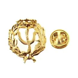 Insignia profesional Psicología escudo oro 18k 20 mm. pin cierre tras