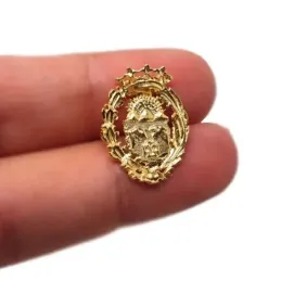 Insignia profesional Veterinaria escudo oro 18k 16 mm. pin cierre tra