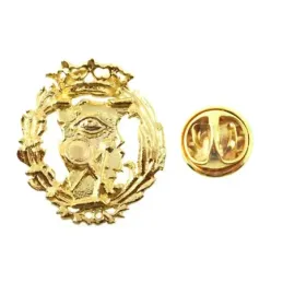 Insignia profesional Ciencias Exactas escudo oro 18k 16 mm. pin cierr