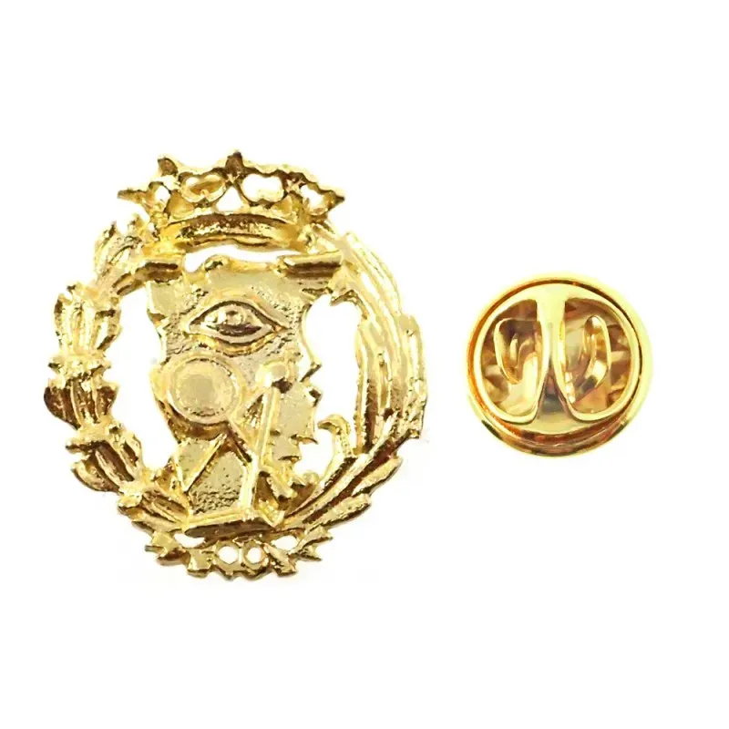Insignia profesional Ciencias Exactas escudo oro 18k 16 mm. pin cierr