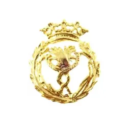 Insignia profesional Fisioterapia escudo oro 18k 18 mm. pin cierre tr