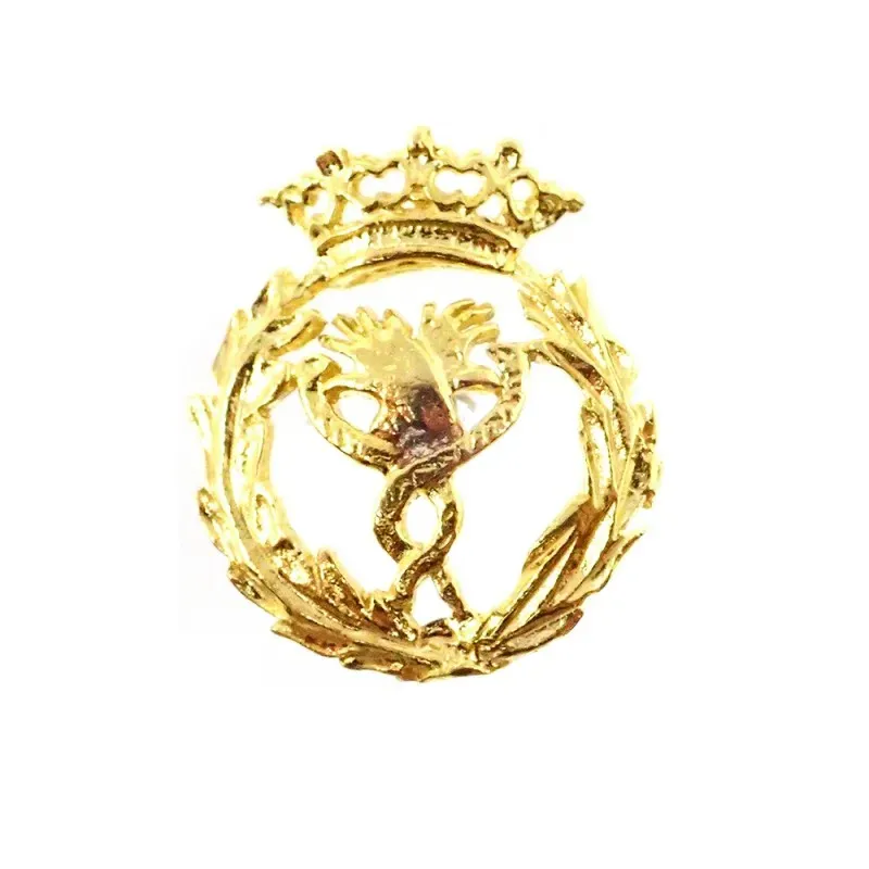 Insignia profesional Fisioterapia escudo oro 18k 18 mm. pin cierre tr