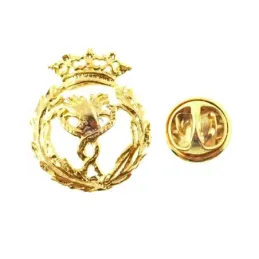 Insignia profesional Fisioterapia escudo oro 18k 18 mm. pin cierre tr