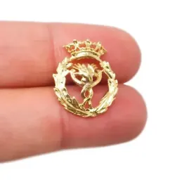 Insignia profesional Fisioterapia escudo oro 18k 18 mm. pin cierre tr