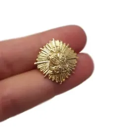 Insignia profesional Perito Mercantil Contabilidad y Finanzas escudo