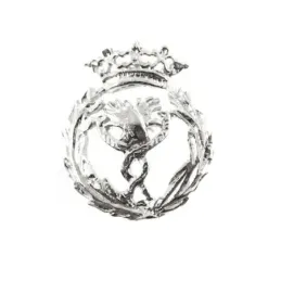Insignia profesional Fisioterapia escudo plata Ley 925m 18 mm. pin ci