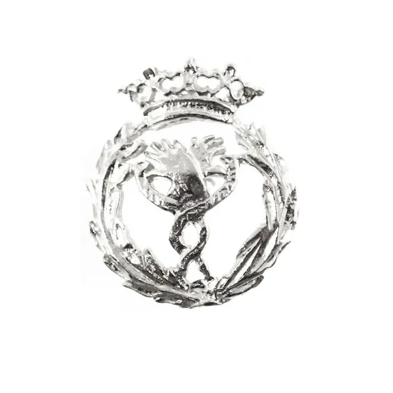 Insignia profesional Fisioterapia escudo plata Ley 925m 18 mm. pin ci