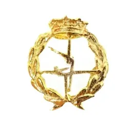 Insignia profesional Ciencias de la Actividad Física y del Deporte es