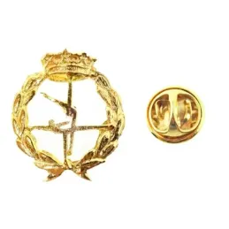 Insignia profesional Ciencias de la Actividad Física y del Deporte es