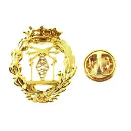 Insignia profesional Ingeniero Telecomunicaciones escudo plata 925m L