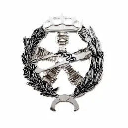 Insignia profesional Ingeniero Aeronáutico y del Espacio escudo plat