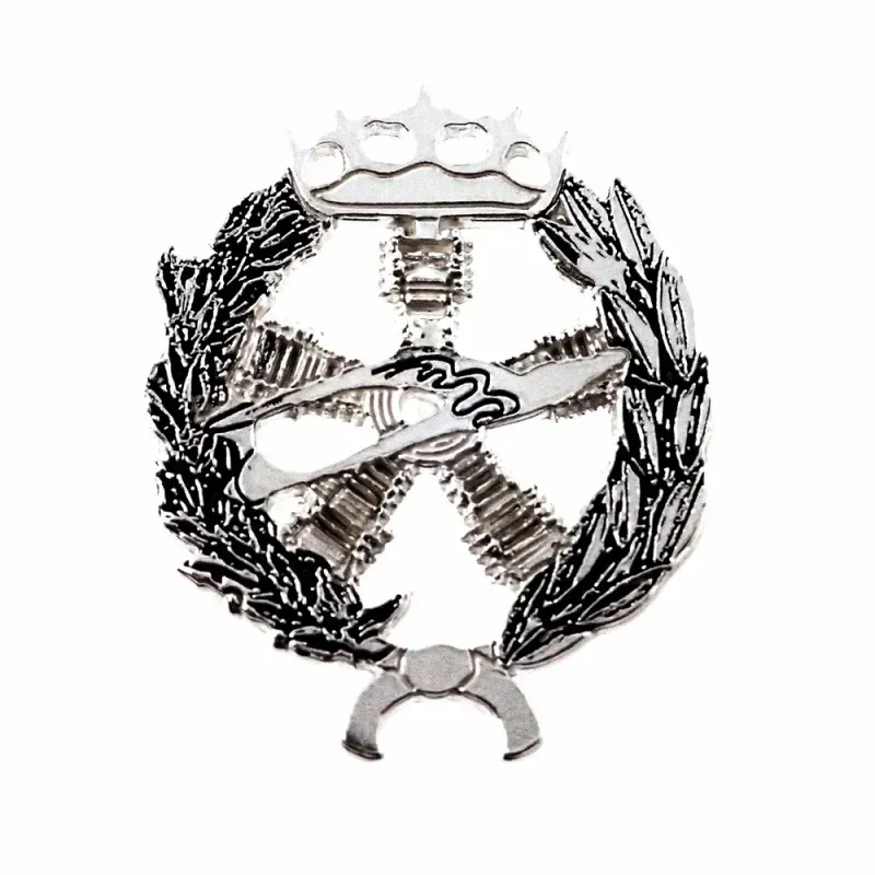 Insignia profesional Ingeniero Aeronáutico y del Espacio escudo plat