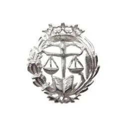 Insignia profesional Derecho escudo plata 925m Ley 18 mm. pin  cierr