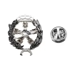 Insignia profesional Ingeniero Aeronáutico y del Espacio escudo plat