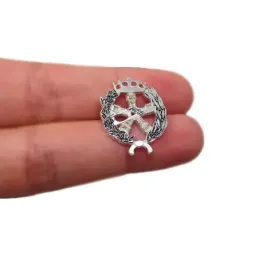 Insignia profesional Ingeniero Aeronáutico y del Espacio escudo plat