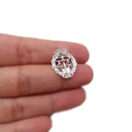 Insignia profesional Derecho escudo plata 925m Ley 18 mm. pin  cierr