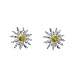 Pendientes de Flor Eguzkilore en Plata de Ley 925m de 10 mm. detalle