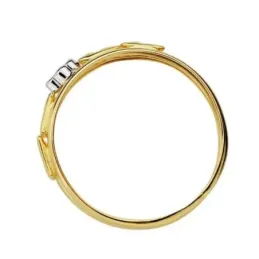 Sortija oro 18k bicolor circonitas [AA2209]