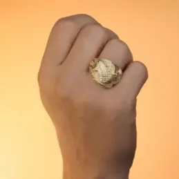 Sello en Oro de 9k cabeza de dragón tallado ancho máximo cabeza de 22